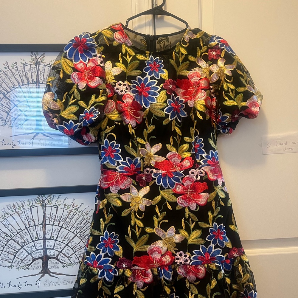 Floral Embroidered Dress with Puff Sleeves